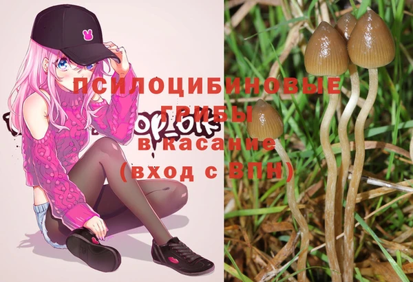 spice Кукмор