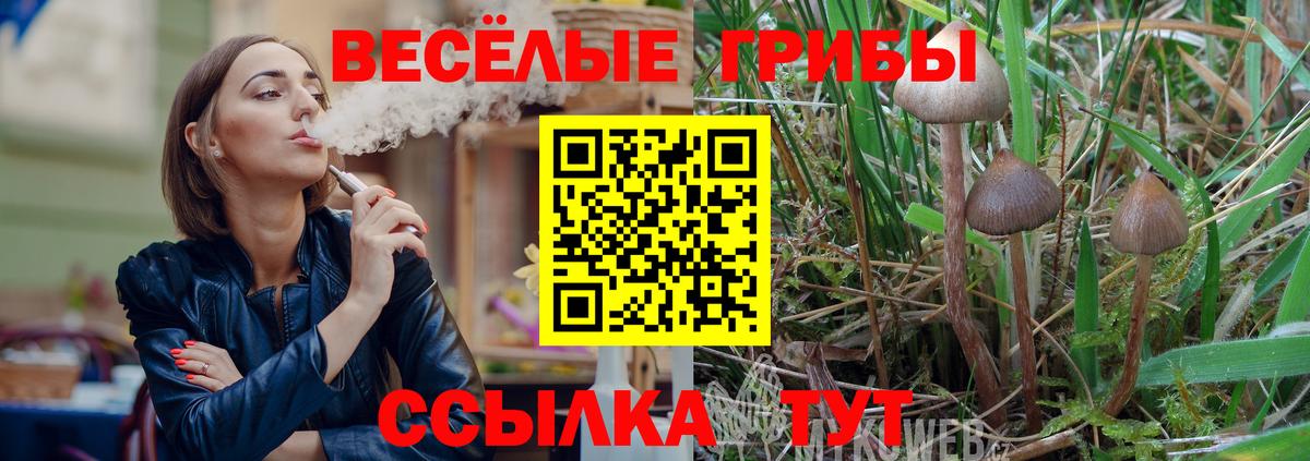 Псилоцибиновые грибы ЛСД  Псилоцибиновые грибы MAGIC MUSHROOMS  Вход с VPN  Новочеркасск 