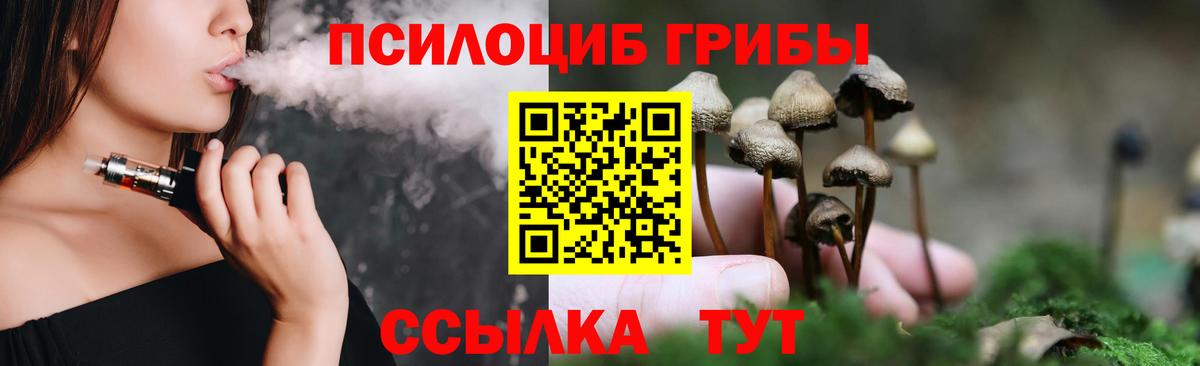 Галлюциногенные грибы Psilocybine cubensis Новочеркасск